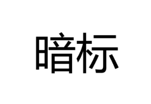 什么是暗标评审