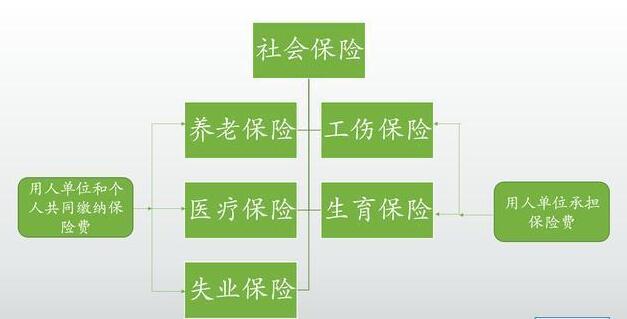 社会保险