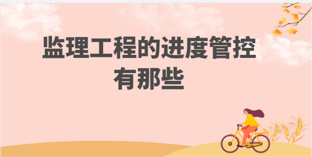 监理的工程进度管控有那些