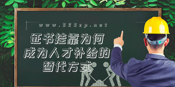 挂靠网