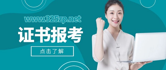 证书报考