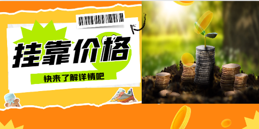 注册给排水工程师不唯一社保挂靠一年多少钱？