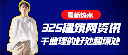 干监理的好处和坏处