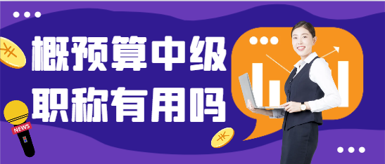概预算中级职称有用吗