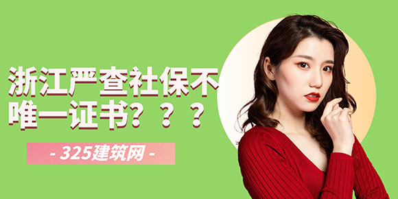 证书挂靠