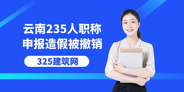 云南235人职称申报造假被撤销